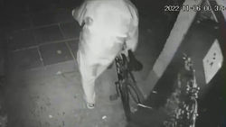 Парню открыли дверь подъезда и он вынес велосипед. Видео