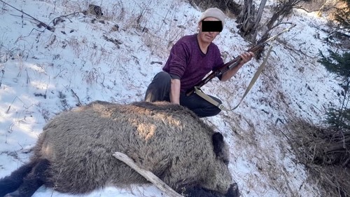 В горах Иссык-Куля мужчина застрелил крупного кабана. Его задержали — Экология АКИpress