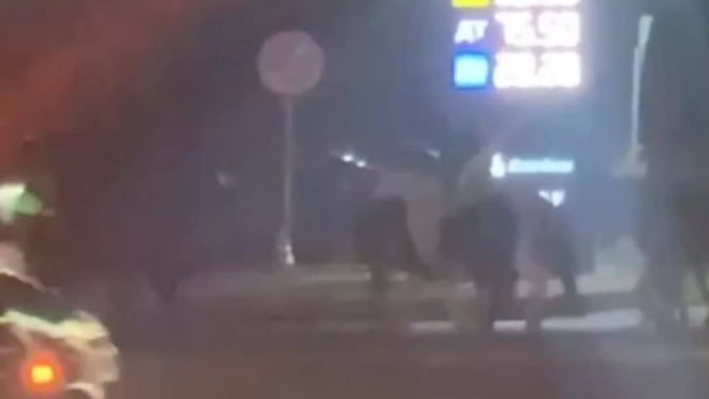 На Алматинке лошади гуляют по дороге. Видео