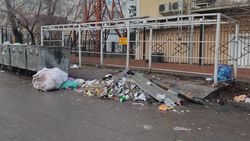 Горожанин Нуржан жалуется на мусор. Фото