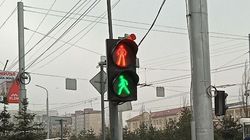 «Стой-иди». Еще один уставший светофор в Бишкеке. Фото