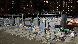 Мусорки в Аламедине-1 завалены мусором. Фото