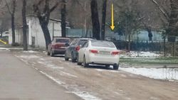 У «Кыргызфильма» машины паркуются в зеленой зоне. Фото