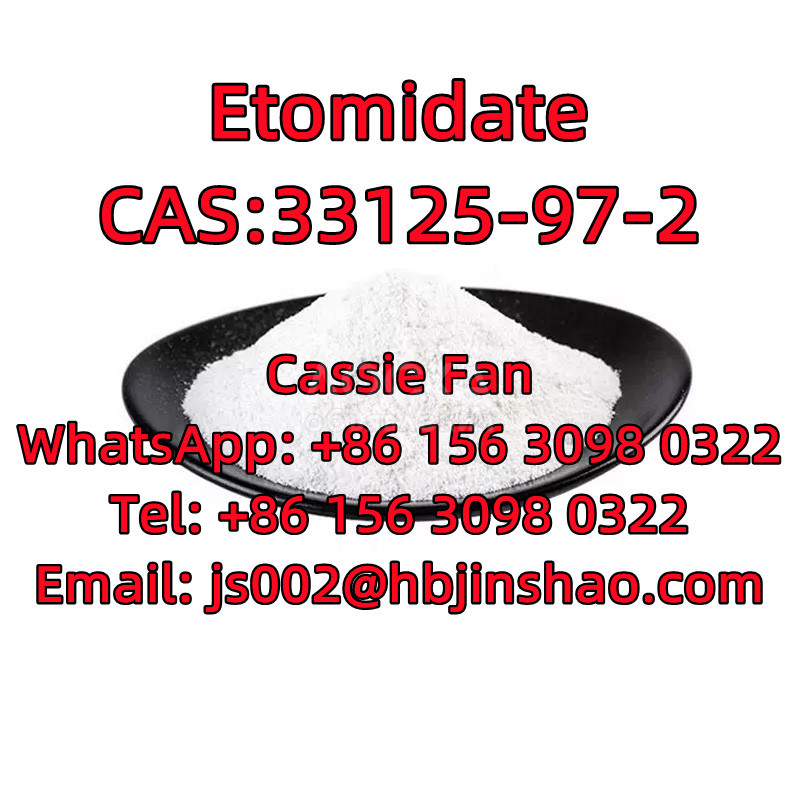 CAS:33125-97-2 etomidate whatsapp:15630980322