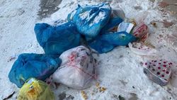 В Первомайском районе неделю не убирают мусор. Фото