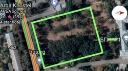Горожанин просит «Бишкекзеленхоз» засадить парковую зону на Жибек Жолу