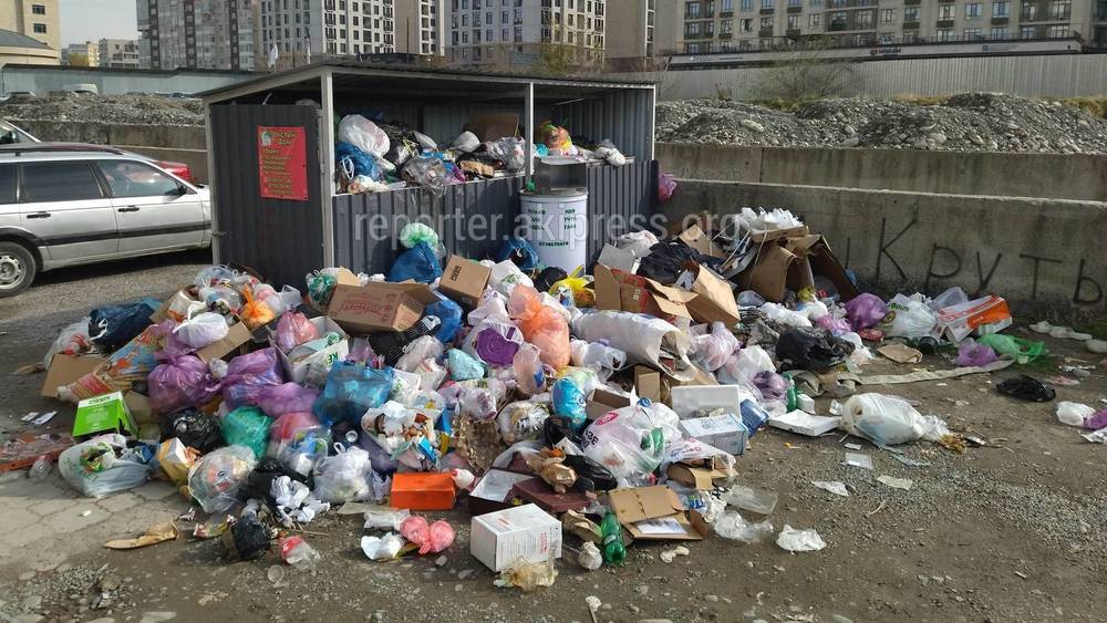 Мусор на Молдобасанова убирает частная компания «Бишкеквторресурс», - мэрия