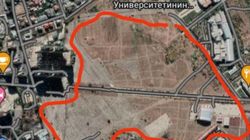 Можно ли на территории рядом с Кыргызско-Турецком университетом «Манас» сделать парк? - горожанин