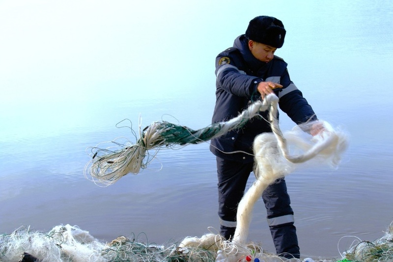 Around 300 poaching fishing nets recovered from Issyk-Kul - Vimarsana News