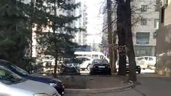 Горожанин предлагает срубить деревья для расширения дороги. Видео
