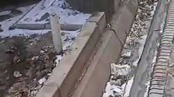 Арыки по Логвиненко в мусоре. Видео