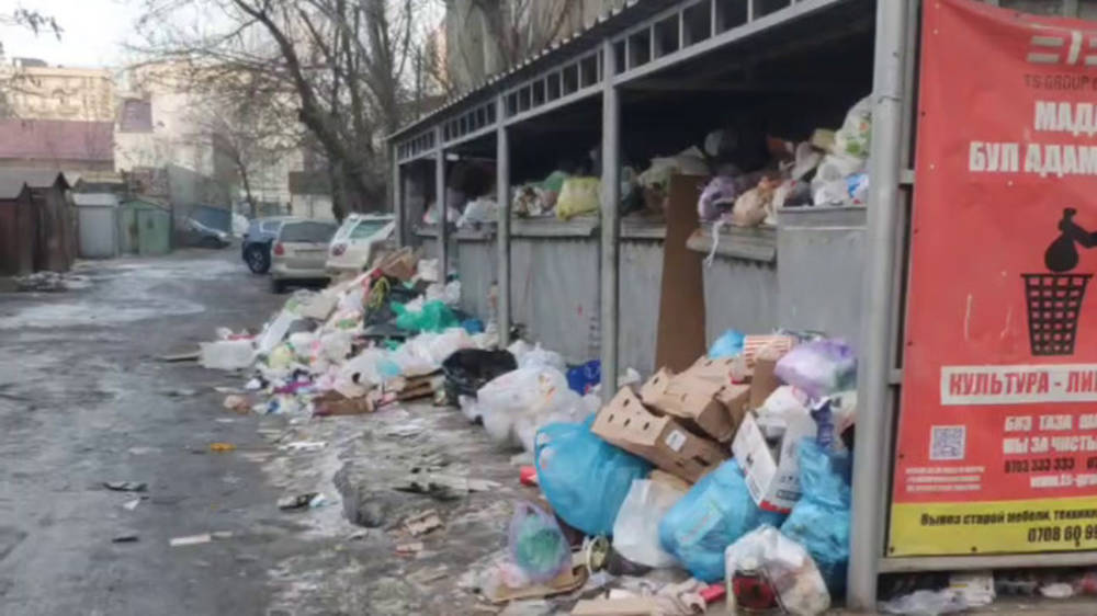 На Советской-Киевской не убирают мусор. Почему? Видео горожанки