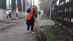 «Тазалык» очистил мусор в арыках на Логвиненко. Фото