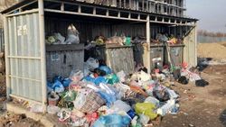 На Куттубаева снова не убирают мусор. Фото