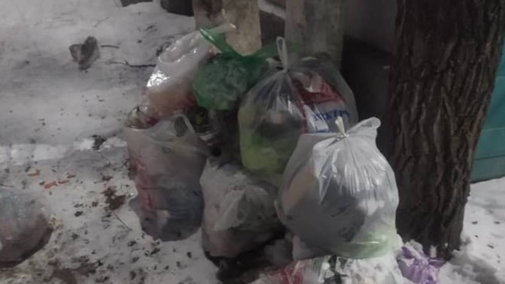 В Октябрьском районе мусор не вывозят с прошлого года. Фото горожанина