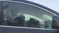 Водитель «Ауди Q7» посадил ребенка на переднее сиденье. Фото
