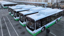 Бишкекчанин просит восполнить маршрут №8 новыми автобусами