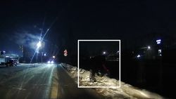 Сотрудники автомойки сбрасывают мусор в реку Аламедин? Видео горожанина