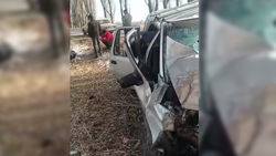 В селе Ананьево в Иссык-Кульском районе два автомобиля столкнулись лоб в лоб