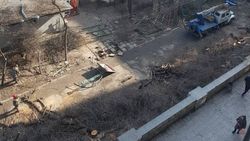 Во дворе дома на Советской вырубают деревья. Законно ли? Видео горожанки