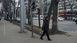 На Советской-Токтогула не горит зеленый на пешеходном светофоре. Фото горожанки