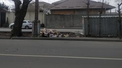 На Пролетарской бросают мусор возле баков. Фото горожанина