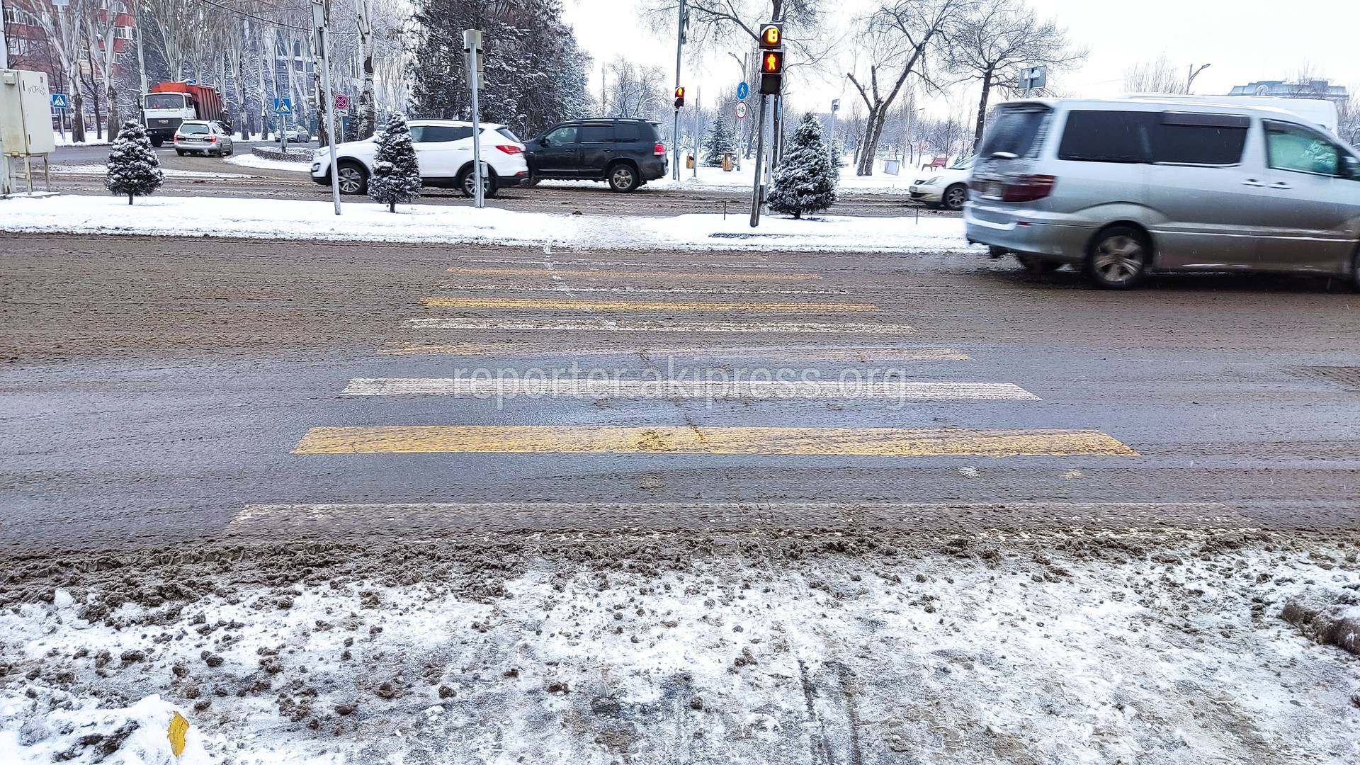 После снега зебра становится скользкой из-за типа краски, - горожанин