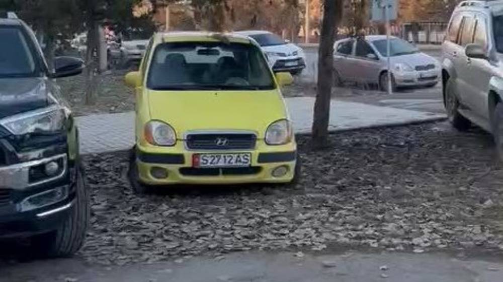 Водители паркуются на газоне на Токомбаева. Видео