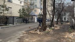На Раззакова хотят спилить акации. Что там будут строить? - горожанка