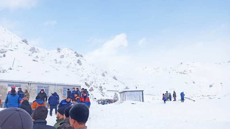 Three people injured in avalanche on gold deposit in mountains - Vimarsana News