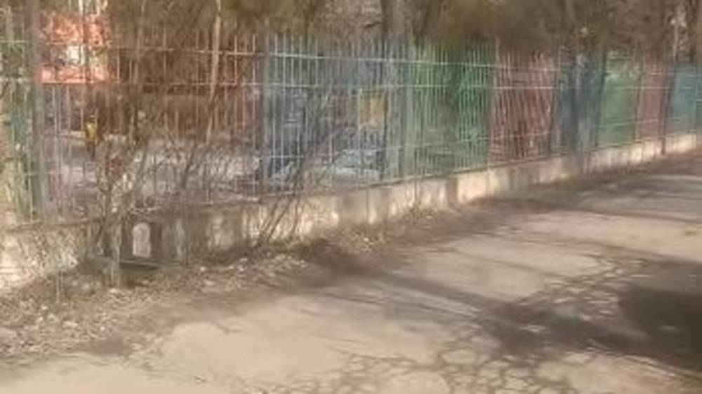 Горожанин просит нанести «зебру» возле детсада на Айтиева. Видео