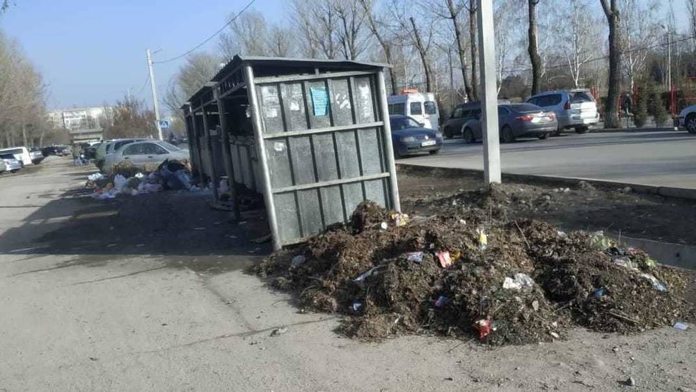 В Аламедине-1 собралась куча мусора. Фото горожанина
