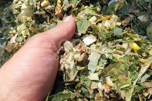 Сельхозпроизводитель реализует : сено люцерны (2-укос), солома ячменная