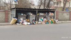 На ул.Манаса не убрали мусор. Фото