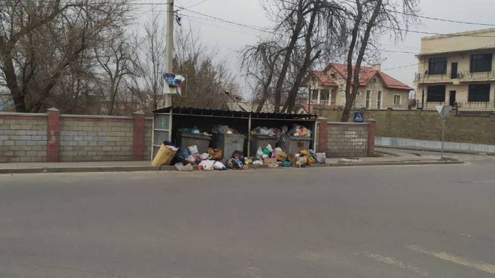 На ул.Манаса не убрали мусор. Фото