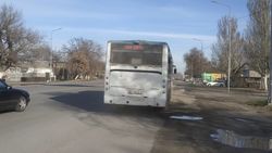 Горожанин жалуется на грязь в автобусе №36. Фото
