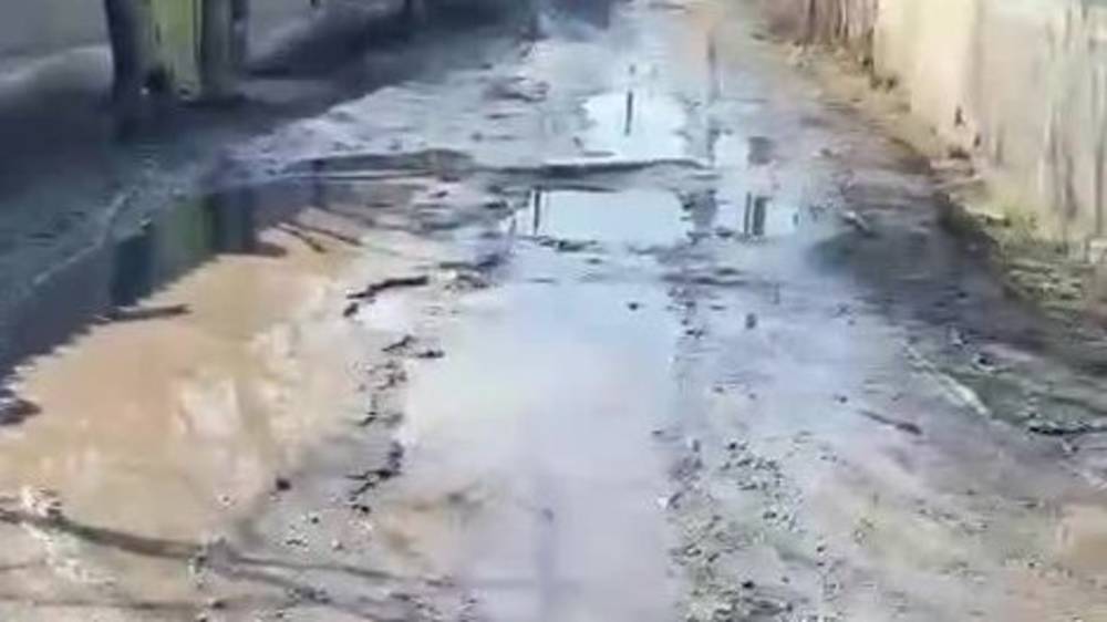 Горожанка жалуется на состояние дороги возле школы №18. Видео