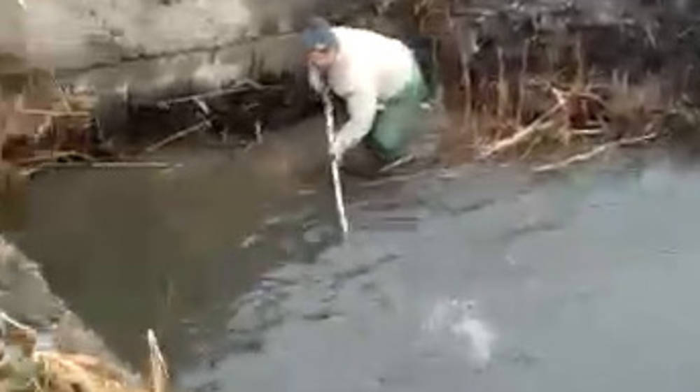 В Ивановке размыло пруд с форелью, вся рыба утекла в реку. Видео