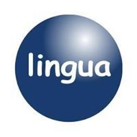 Lingua. Лингва. Лингва картинка. Стул Лингва. Лингва Бишкек.