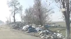 Горы мусора по ул.Махатмы Ганди. Видео