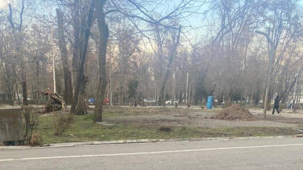 Когда закончат ремонт парка на Московской-Фучика? - горожанин. Фото