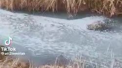 В Джеты-Огузском районе пенная вода втекает в озеро. Видео жителя