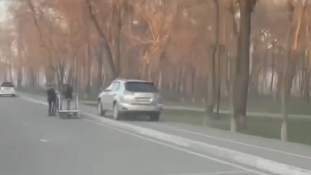 Lexus RX 300 едет по тротуару. Видео