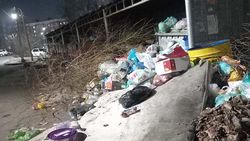 «Матрац, пакеты, ветки и листва». Завал мусора в 12 мкр закрыл дорогу. Фото горожанина