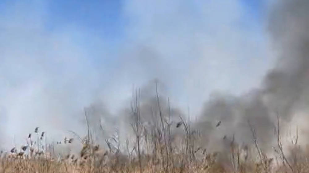 На объездной возле Токмока горит сухотравье. Видео