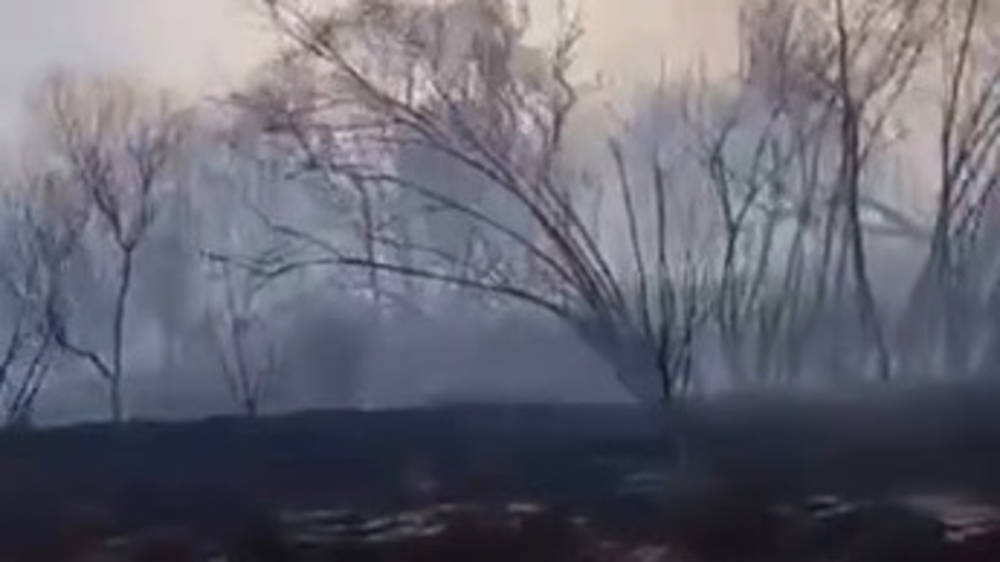 Последствия пожара в Бооме. Видео