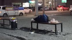 Жители 12 микрорайона жалуются на бездомных