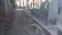 Почему никто не убирает мусор за остановкой по улице Манаса? - горожанин