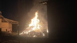 Житель жилмассива Ала-Тоо опасно сжигает сухостой. Видео