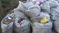В парке на Бакаева неделю лежит мусор, собранный после субботника. Видео горожанина
